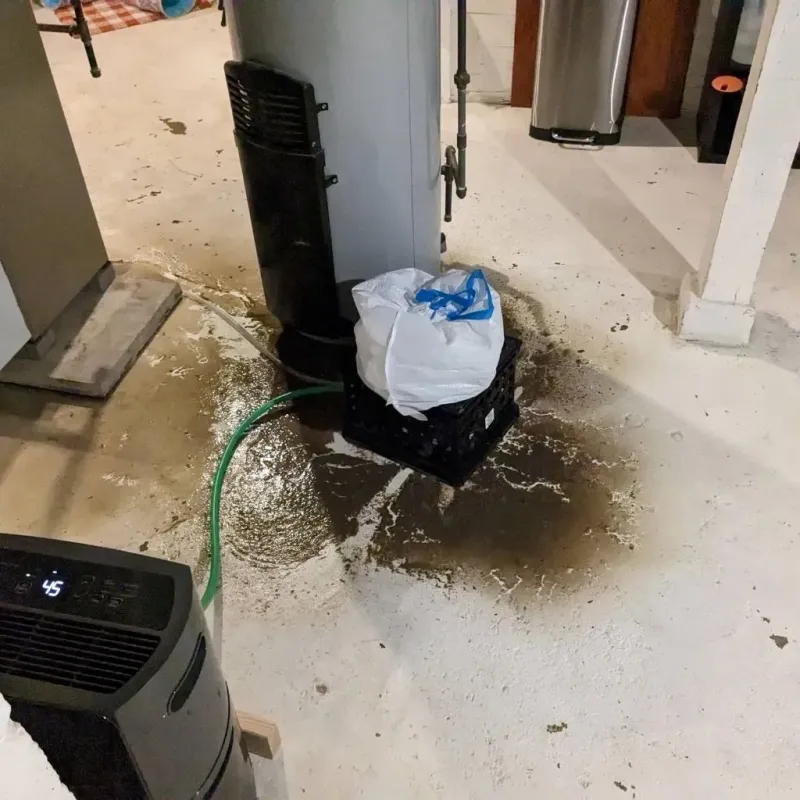 Sewage Backup Cleanup Service in Pioneer, OH